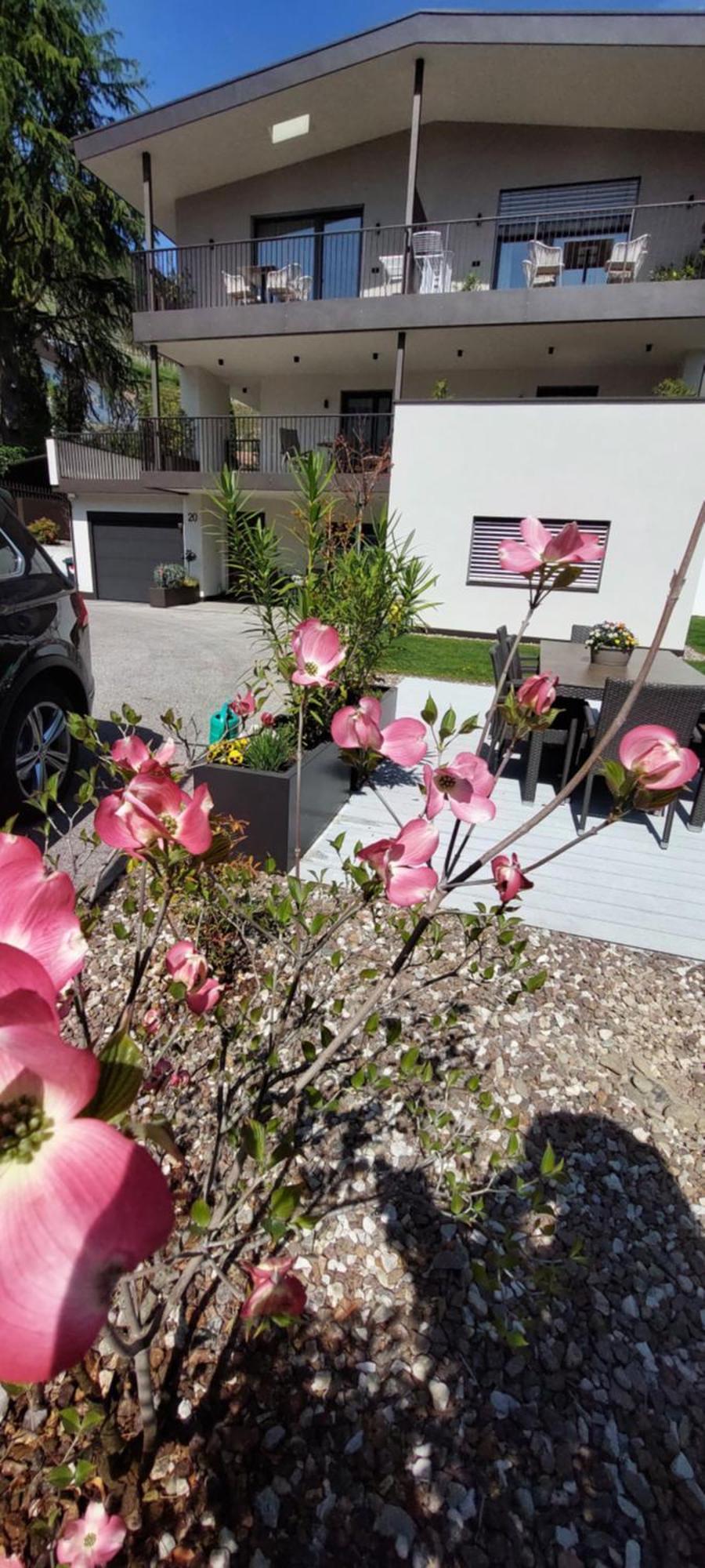 FEWO - Vinea - Wieser Josef - Marling Exterior foto