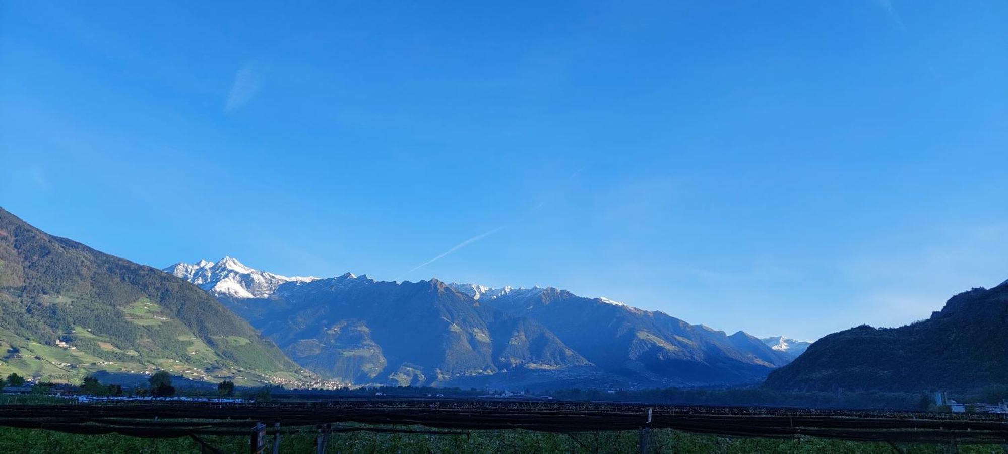 FEWO - Vinea - Wieser Josef - Marling Exterior foto