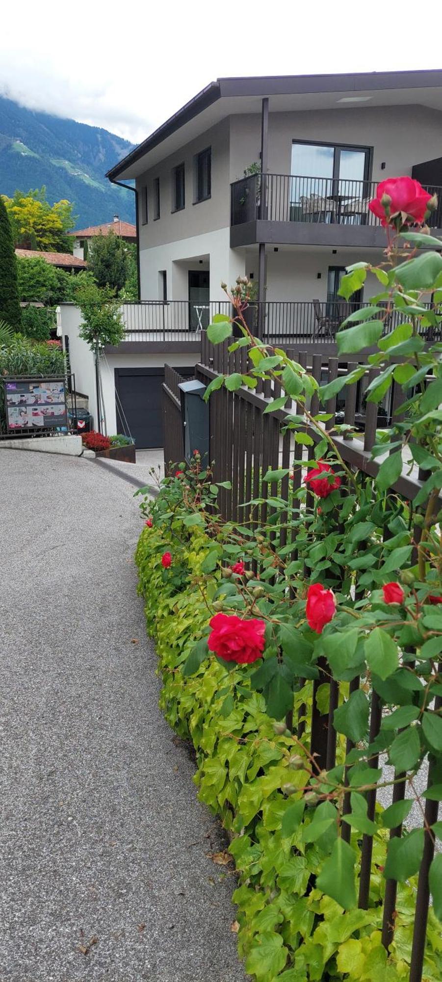 FEWO - Vinea - Wieser Josef - Marling Exterior foto