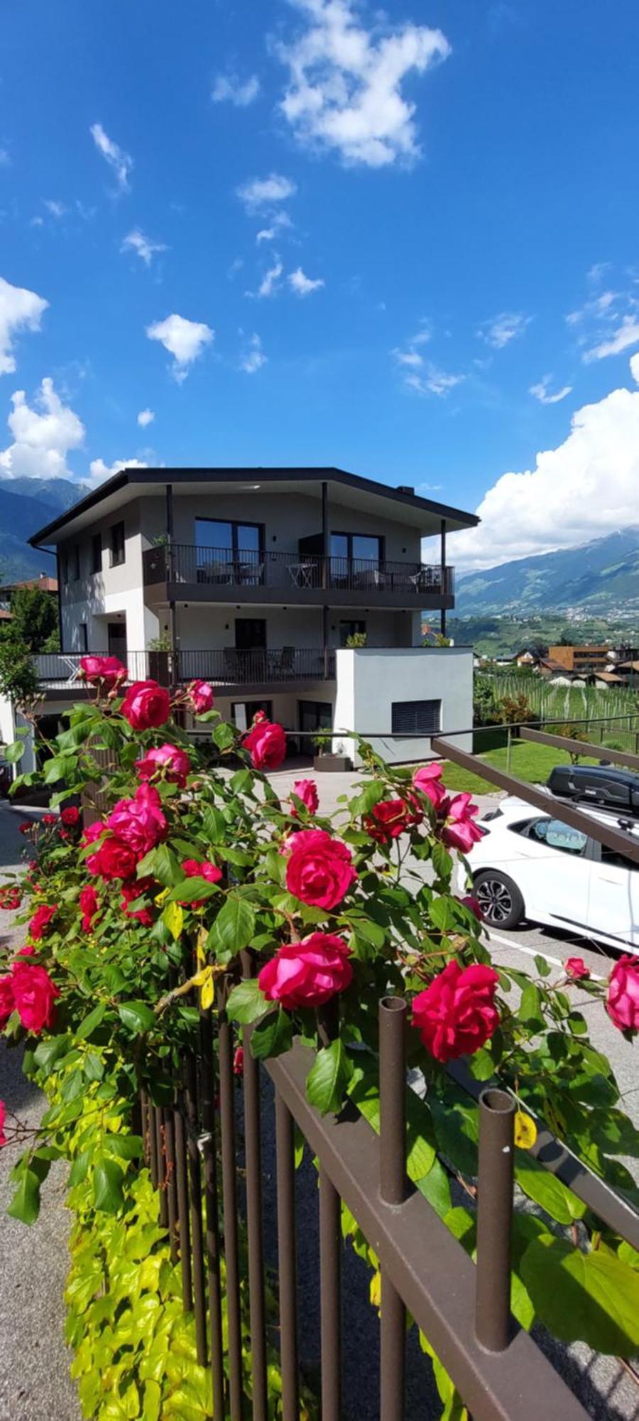 FEWO - Vinea - Wieser Josef - Marling Exterior foto