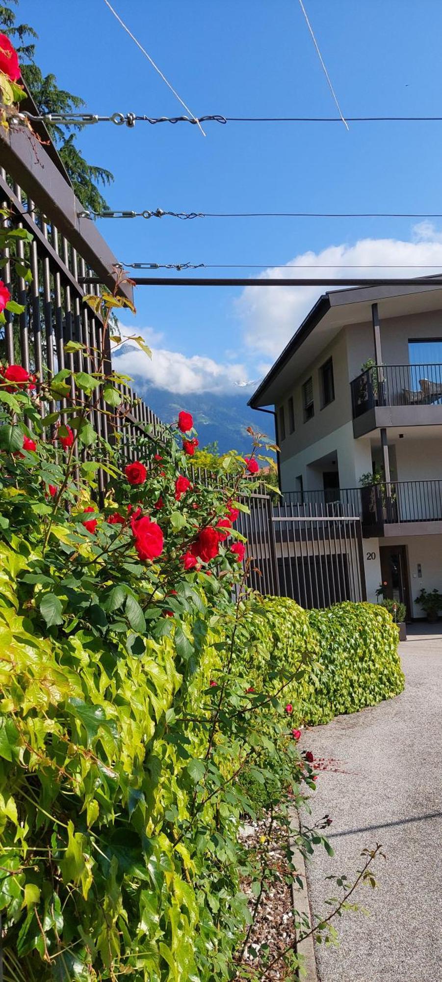 FEWO - Vinea - Wieser Josef - Marling Exterior foto